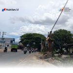Cegah Korban Jiwa, DLH Aceh Besar Tebang Pohon Rawan Tumbang