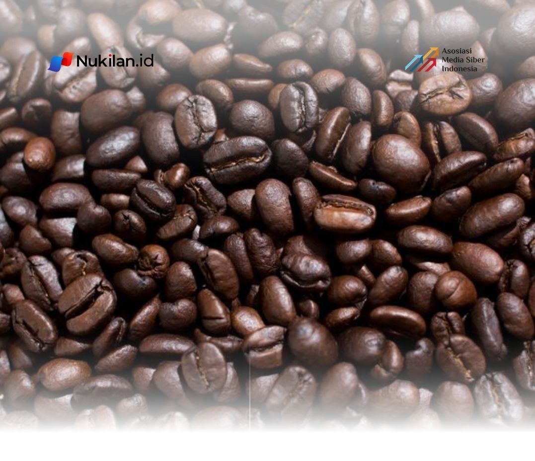 Kopi Gayo Aceh merupakan salah satu jenis kopi populer di dunia. (Foto: Istimewa)