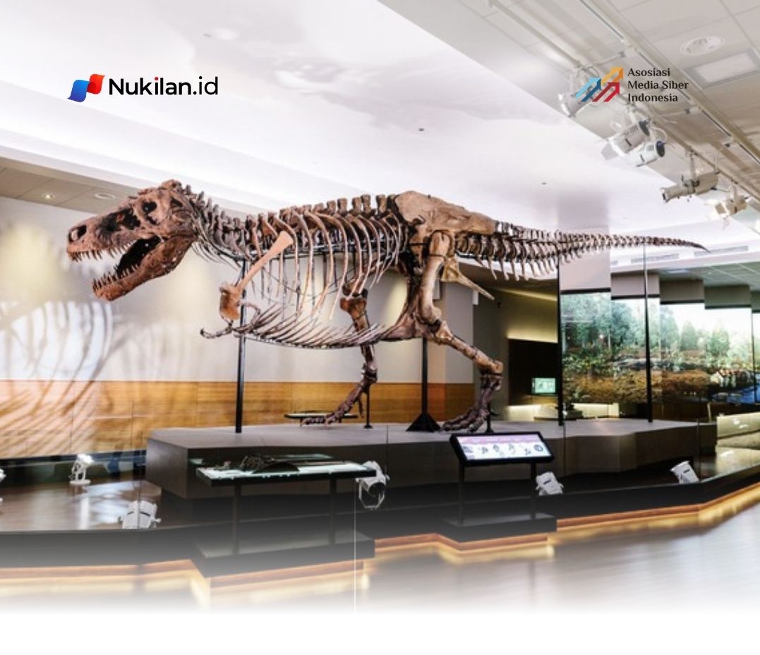 Fosil Tyrannosaurus rex Sue. (Foto: Field Museum)