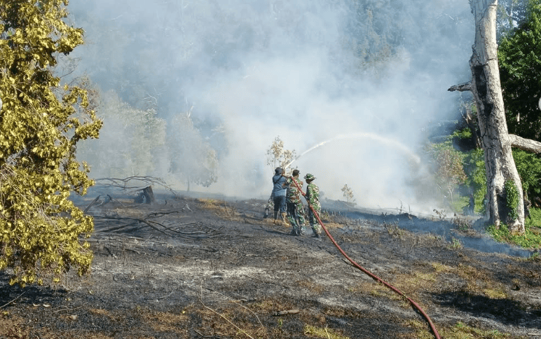Kebakaran lahan di Aceh Besar. (Foto: Dok Damkar Aceh Besar)