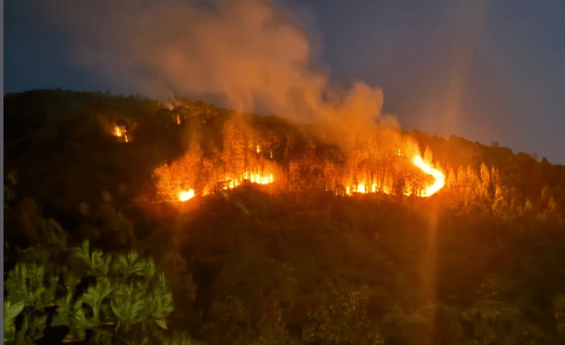 Kebakaran lahan di kawasan perbukitan Radar, Gampong Data Makmur, Kecamatan Blang Bintang, Kabupaten Aceh Besar, Senin (24/8/2026) malam. (Foto: Akun Instagram Damkar Aceh Besar)