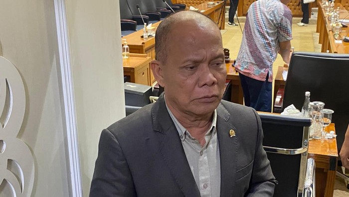 Wakil Ketua Baleg DPR RI Sturman Panjaitan. (Foto: Detik)