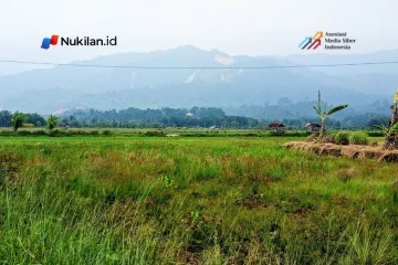 Sawah di Aceh pascabencana. (Foto: For Nukilan)