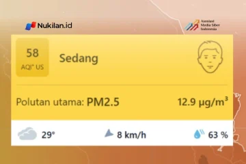 Tangkapan layar kualitas udara di Kota Langsa, Aceh pada situs iqair.com. (Foto: Tangkapan layar/Nukilan)