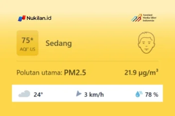 Tangkapan layar kualitas udara di Takengon, Aceh Tengah, Aceh, pada situs iqair.com. (Foto: Tangkapan layar/Nukilan)