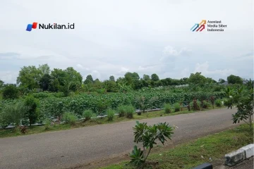 Lahan garden program RSJ Aceh di kawasan Kuta Malaka, Samahani, Kabupaten Aceh Besar. (Foto: Nukilan/Tibrani)