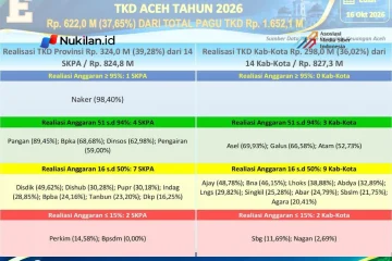 Realisasi Tambahan TKD Aceh 2026 Bisa Dipantau Lewat Portal P2K. (Foto: For Nukilan)