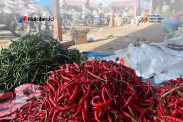 Cabai merah di Pasar Al-Mahirah Lamdingin, Banda Aceh. (Foto: Nukilan/Rezi)