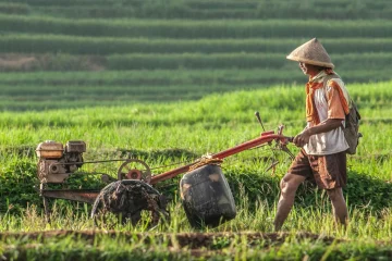 Ilustrasi - ruang hidup petani. (Foto: Unsplash)
