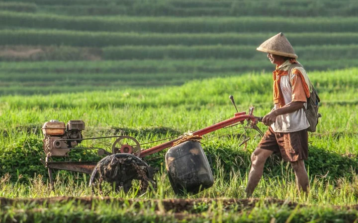 Ilustrasi - ruang hidup petani. (Foto: Unsplash)